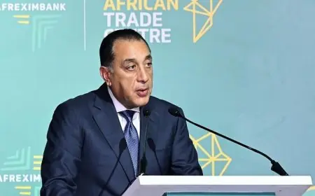 مدبولي يؤكد إنشاء مركز التجارة الأفريقي في مصر يعزز دورها في التكامل الاقتصادي في القارة الأفريقية