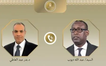 وزير الخارجية يؤكد دعم مصر القوي لحكومة مالي في مواجهة الإرهاب والتطرف