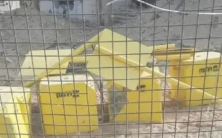 أوروبا تترقب افتتاح أول محمية بحرية للدلافين في إيطاليا عام 2026