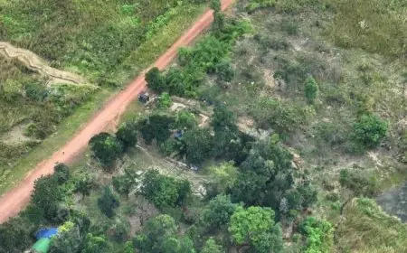 تايلاند تعلن حظر التجوال في منطقة ساحلية بسبب تصاعد الاشتباكات مع كمبوديا