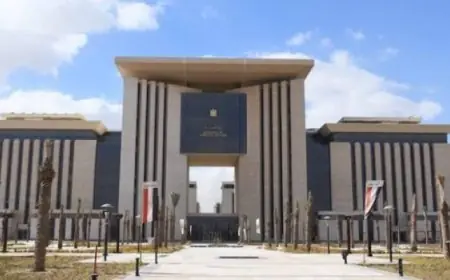 مصر تحتفل باليوم العالمي لحقوق الإنسان وتعزز التزامها ببيئة آمنة للمواطنة والمساواة