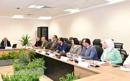 وزير الرى يبحث التعاون مع ممثلى بنك الاستثمار الأوروبى لتعزيز المشاريع المائية