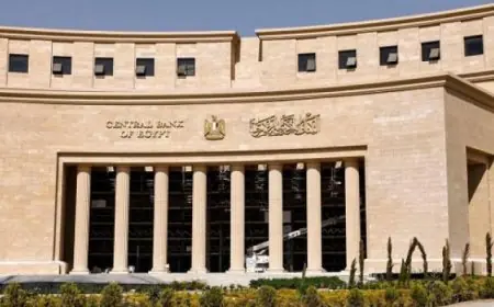 البنك المركزي يطرح أذون خزانة بقيمة 85 مليار جنيه لتعزيز الاقتصاد المصري