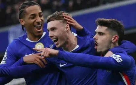 بالمر يتألق ويقود تشيلسي لتحقيق انتصار هام على إيفرتون في الدوري الإنجليزي