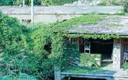 ارتفاع أسعار الذهب وسط انقسام الآراء في مجلس الاحتياطي الفيدرالي حول خفض الفائدة