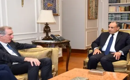 وزير الخارجية يناقش مع وفد أوروبي مستجدات الأوضاع في الأراضي الفلسطينية المحتلة