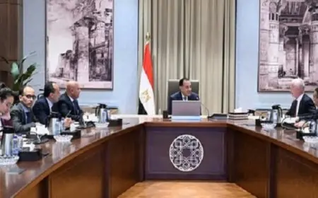 رئيس الوزراء يناقش مع رئيس مجموعة فيكا الفرنسية استراتيجيات توسيع استثمارات الأسمنت في السوق المصرية