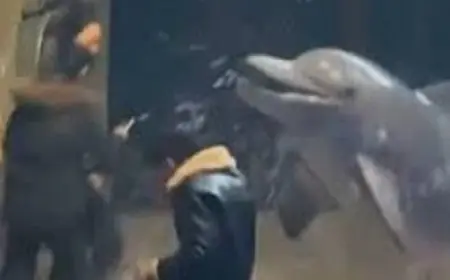 شاب يتعرض لمفاجأة غير متوقعة من حوت أبيض يطفئ سيجارته برش الماء عليه