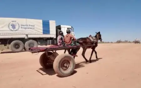 الرئيس العراقي يدعو المجتمع الدولي لتعزيز الاستقرار في المنطقة ووقف اعتداءات إسرائيل المتكررة