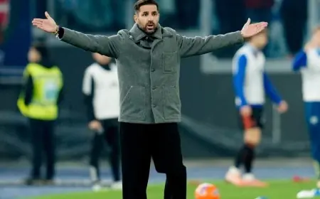 جمهور السنغال يتوق لرؤية سيسك فابريغاس قبل انطلاق كأس أمم إفريقيا