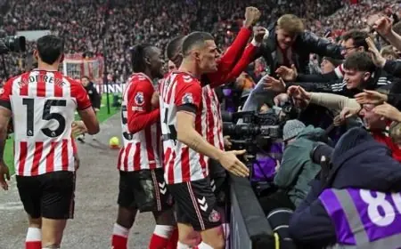 هدف غير متوقع من النيران الصديقة يقود سندرلاند للفوز الثمين على نيوكاسل في الدوري الإنجليزي