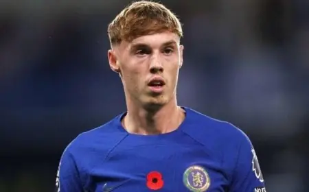 بالمر يحث جماهير تشيلسي على الدعم بعد استعادة الفريق لنغمة الانتصارات