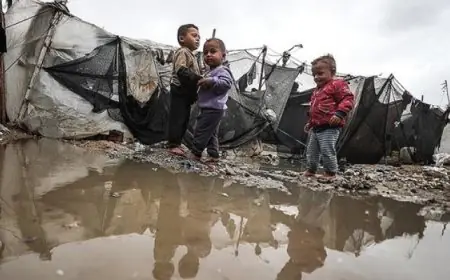 مصر تبرز تفانيها في تعزيز حقوق الإنسان خلال الاحتفال باليوم العالمي لحقوق الإنسان