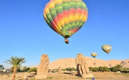 تحليق 55 رحلة بالون طائر لنحو 1000 سائح في سماء الأقصر الساحرة