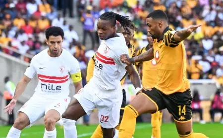 فيفا يقرر إيقاف الزمالك عن القيد في القضية السابعة