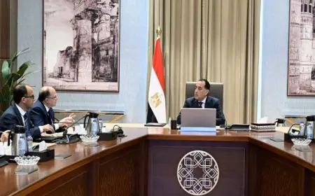 مدبولي يبحث مع رئيس هيئة الدواء مشروع التتبع الدوائي الوطني لتعزيز الأمان الصحي في مصر