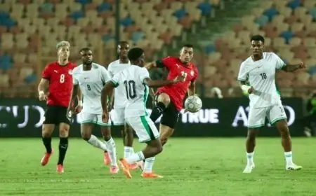 مصطفى محمد يسجل الهدف الثاني لمنتخب مصر في مواجهة نيجيريا مع فيديو مميز