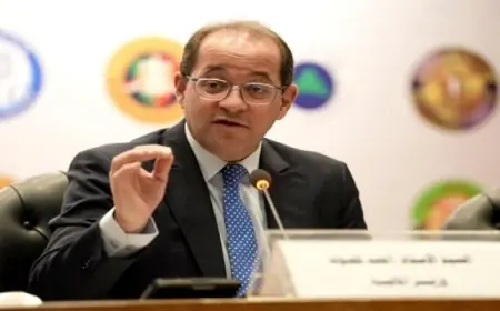 وزير المالية يؤكد ضرورة التوازن بين الانضباط المالي والنشاط الاقتصادي للبلاد والمواطن