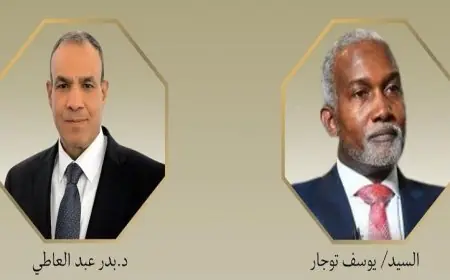 وزير الخارجية المصري يؤكد لنظيره النيجيري دعم مصر في مكافحة الإرهاب في إفريقيا