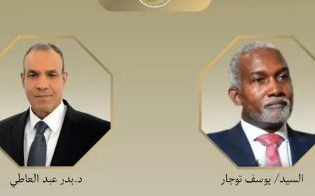 وزير الخارجية المصري ونظيره النيجيري يؤكدان رفضهما اعتراف إسرائيل بأرض الصومال