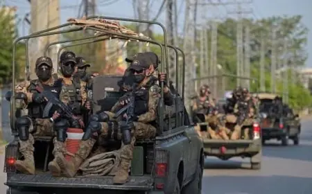 الجيش الباكستاني يعلن مقتل 4 مسلحين في عملية أمنية ناجحة جنوب غرب البلاد