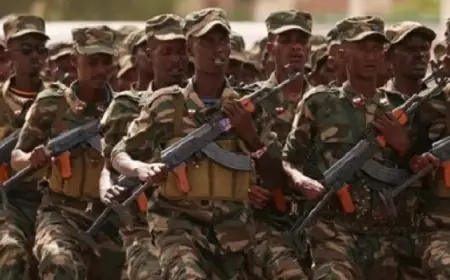 الجيش الصومالي يحقق انتصارات هامة في تحرير مناطق استراتيجية بشبيلي السفلى