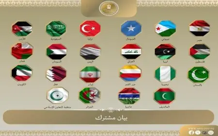 مصر ودول أخرى تصدر بيانًا مشتركًا بشأن اعتراف إسرائيل بإقليم أرض الصومال