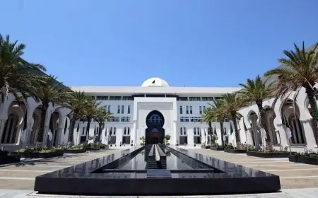 الجزائر تعبر عن قلقها العميق تجاه التطورات المقلقة في اليمن