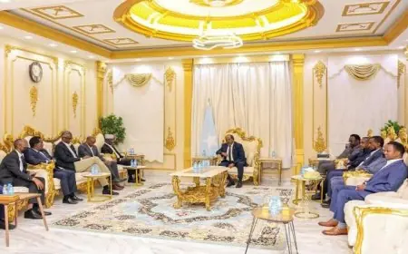 رئيس الصومال يشدد على ضرورة توحيد قوى وعقول الشعب لحماية وحدة الوطن