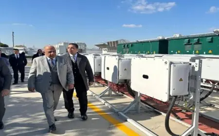 وزير الكهرباء يتناقش عن سُبل الاستخدام الأمثل للطاقة أثناء زيارته للصين