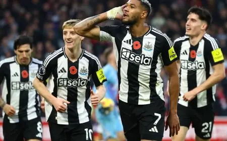 الأندية السعودية تتنافس بقوة على ضم نجم نيوكاسل المفضل للجماهير