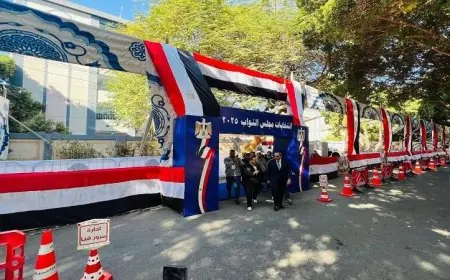 ثاني أيام التصويت في جولة الإعادة لانتخابات النواب بالدوائر التسع عشرة الملغاة تبدأ الآن