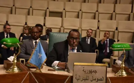 مندوب الصومال في الجامعة العربية يؤكد على الإجماع العربي لدعم وحدة الصومال والتصدي للمخططات الخارجية