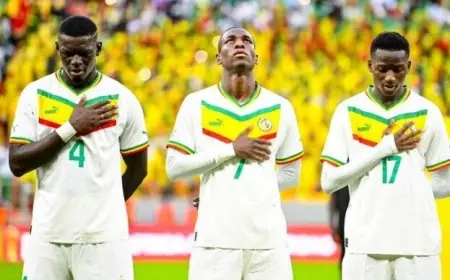 مباشرة مباراة السنغال ضد الكونغو الديمقراطية في كأس أمم إفريقيا 2025