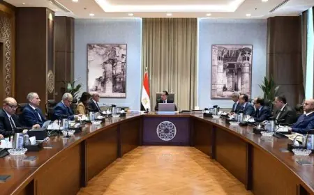 رئيس الوزراء يشرف على أنشطة مشاريع العربية للتصنيع في قطاع الصناعات المدنية