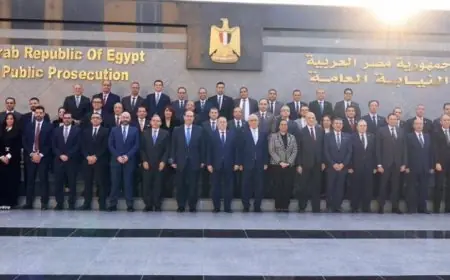 أمل عمار توقع 3 بروتوكولات تعاون لتعزيز العدالة الأسرية وتطوير التحول الرقمي