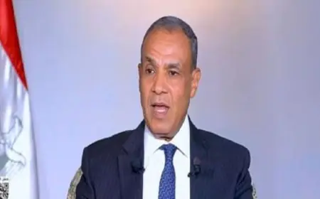 وزير الخارجية يؤكد أن مصر تتصدى لأزمات الإقليم بكفاءة واستراتيجية متوازنة