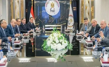 وزيرا الإنتاج الحربي وقطاع الأعمال العام يعززان التعاون لزيادة الاستفادة من القدرات الصناعية الوطنية