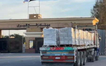 الهلال الأحمر المصري يوزع 207 آلاف سلة غذائية وملابس شتوية في مبادرة زاد العزة 104