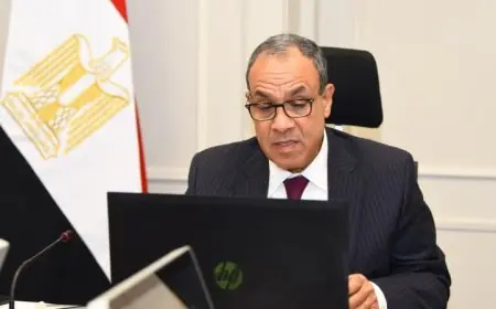 وزير الخارجية يكشف عن خطة مصر لتعزيز السلام في شرق الكونغو الديمقراطية والصومال