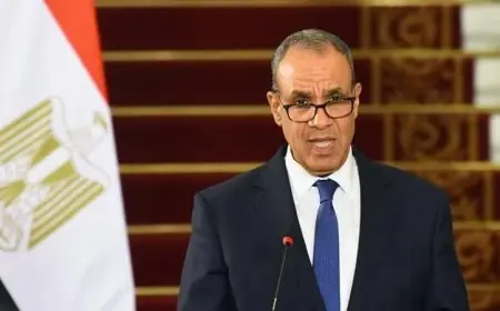 وزير الخارجية يقدم التهاني للرئيس السيسي بمناسبة قدوم العام الميلادي الجديد