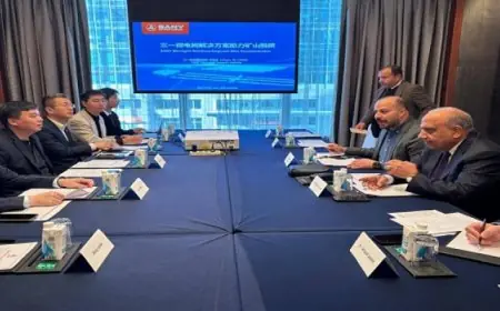 وزير الكهرباء يتعاون مع شركات صانى الصينية لتعزيز الطاقة المتجددة في مصر