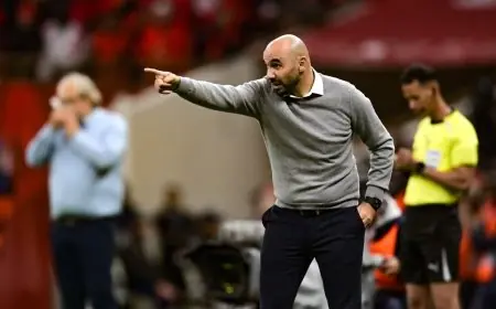 من قمة التألق إلى ساحة الانتقادات هل كان وليد الركراكي في خطر بفعل الهجوم عليه؟