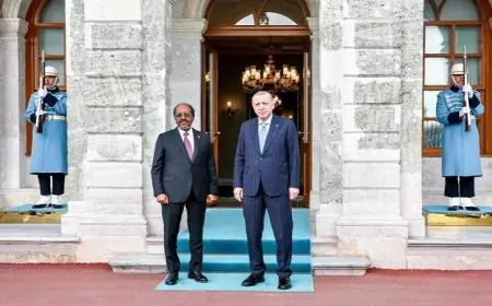 رئيسا الصومال وتركيا يتعاونان لتعزيز استقلال ووحدة الأراضي الصومالية