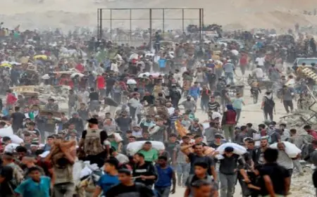 وزراء خارجية 10 دول يصدرون بيانا مشتركا: تدهور كارثي للأوضاع الإنسانية في غزة ونداء عاجل لإسرائيل للتحرك