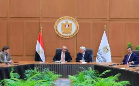 وزير التعليم العالى ووزير التعليم يبحثان تعزيز مشروع الشهادات المهنية الدولية للمعلمين