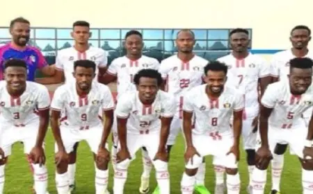 منتخب السودان يُعزز آماله بفوز رائع على غينيا الاستوائية بهدف وحيد في كأس الأمم الإفريقية