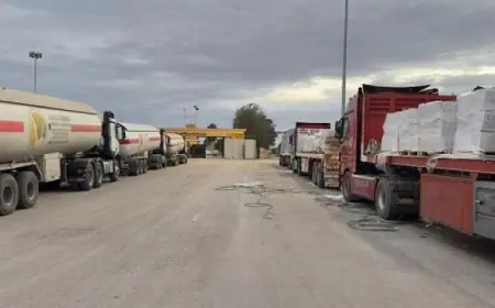 الهلال الأحمر المصري يعلن عن قافلة زاد العزة 105 محملة بالسلال الغذائية والمواد الطبية لعائلات غزة