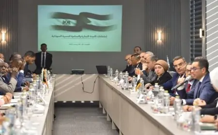 وزير الاستثمار يبرز دور اللجنة التجارية والصناعية المصرية السودانية في تعزيز التكامل الاقتصادي بين مصر والسودان