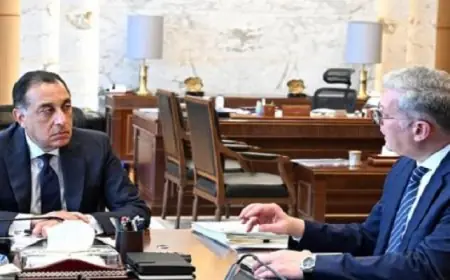 حالة الطقس اليوم في القاهرة مائلة للدفء خلال النهار وشديدة البرودة ليلًا مع انخفاض الحرارة إلى 13 درجة